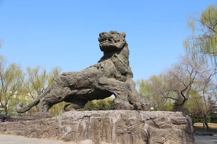 Beijing_Beijing_Zoo_3
