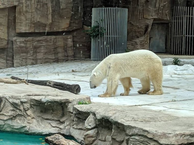 Beijing_Beijing_Zoo_6