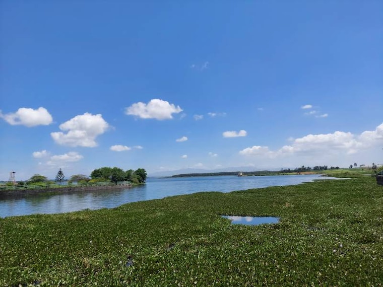 Belur_Yagachi_Dam_10