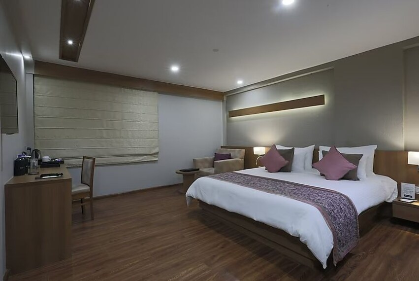 Bhilwara_Hotel_delice_3