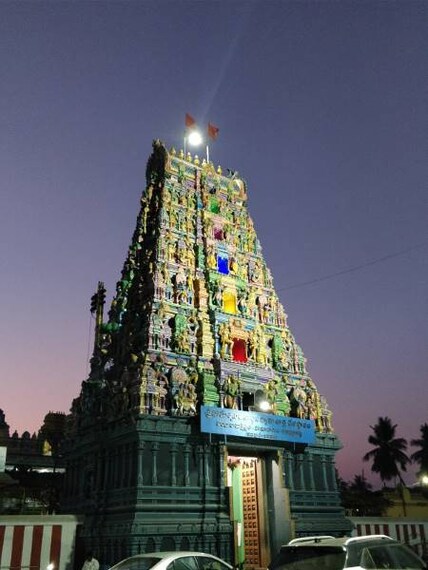 Bhimavaram_Sri_Someswara_Temple_7