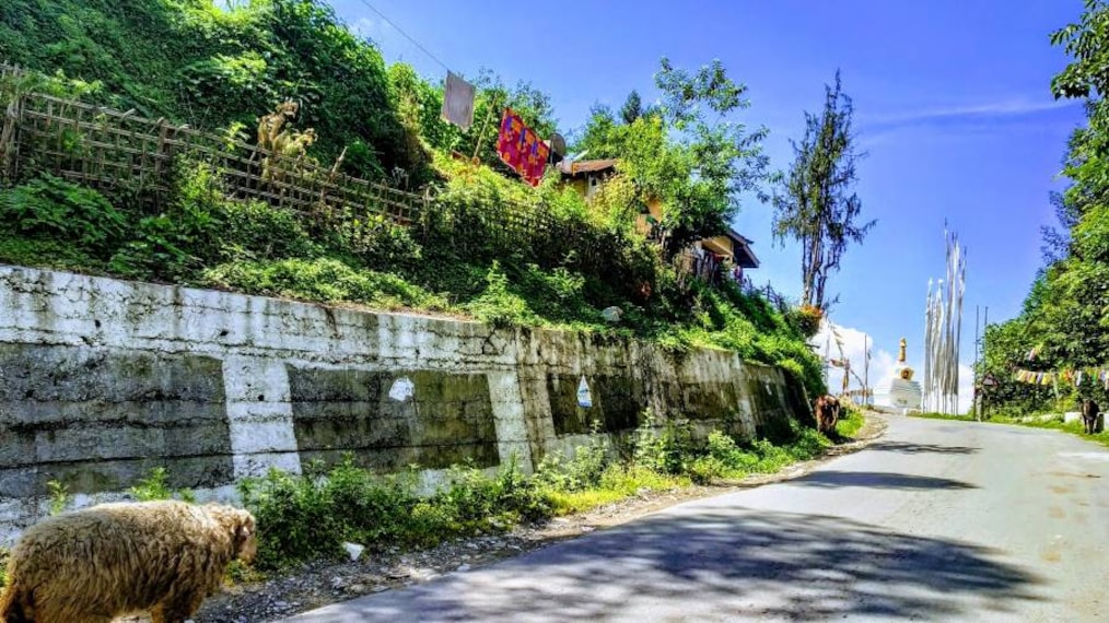 Bomdila_Dirang_Valley_10