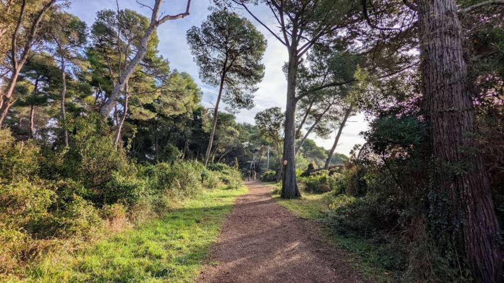 Cannes_Lerins_Islands_9