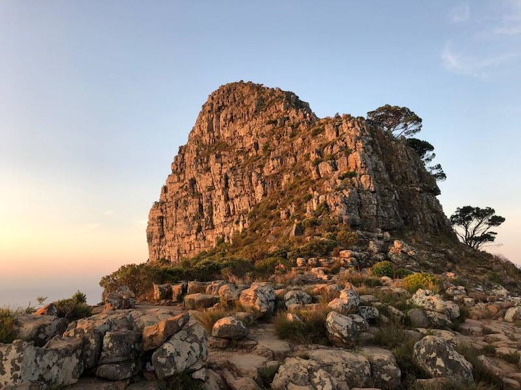 Cape_Town_Lions_Head_10