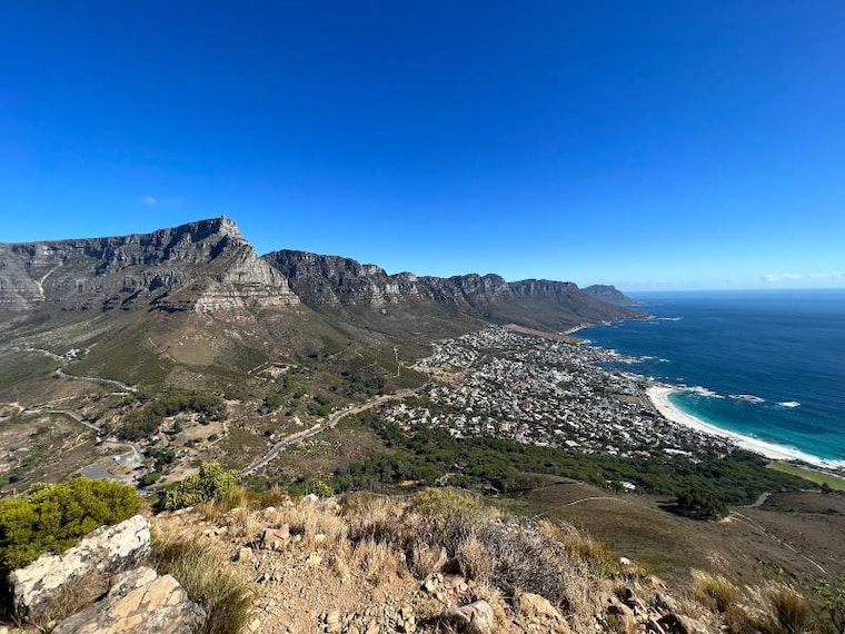 Cape_Town_Lions_Head_5