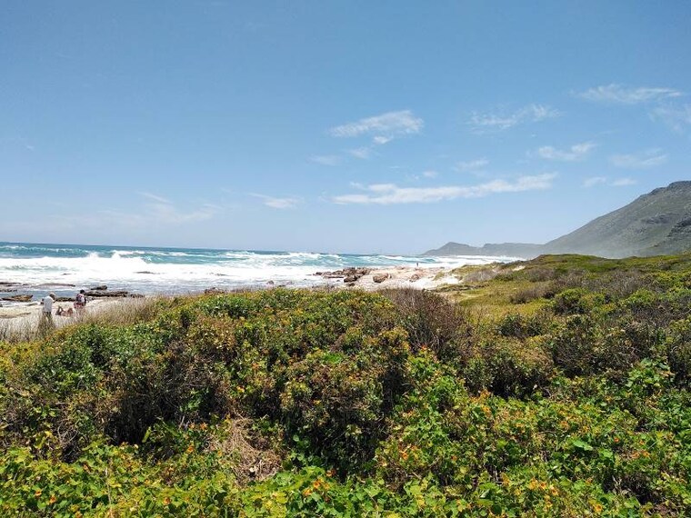 Cape_Town_Scarborough_Beach_4