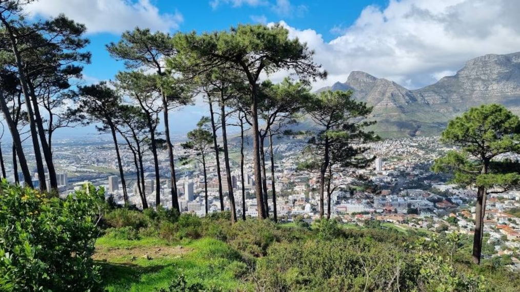 Cape_Town_Signal_Hill_8