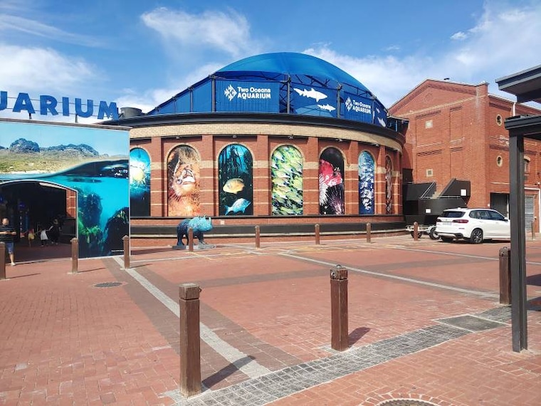 Cape_Town_Two_Oceans_Aquarium_2