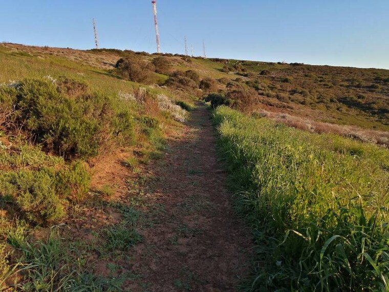 Cape_Town_Tygerberg_Nature_Reserve_2
