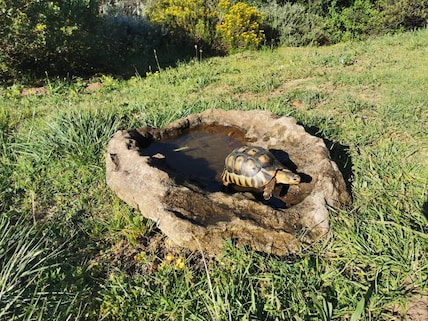 Tygerberg Nature Reserve