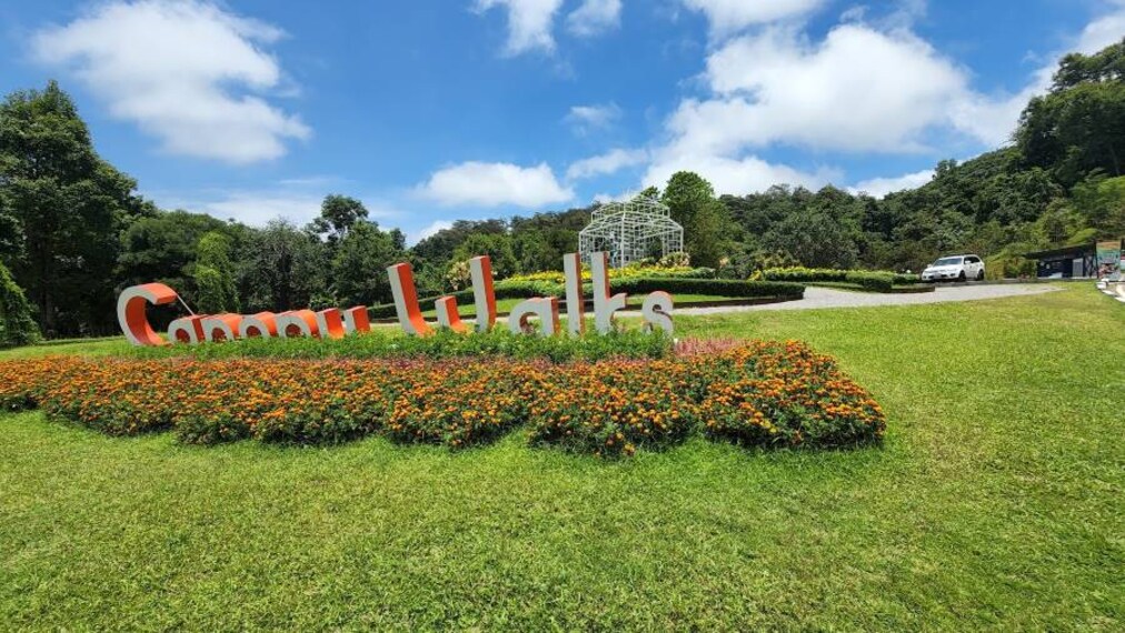 Chiang_Mai_Canopy_Walkway_5