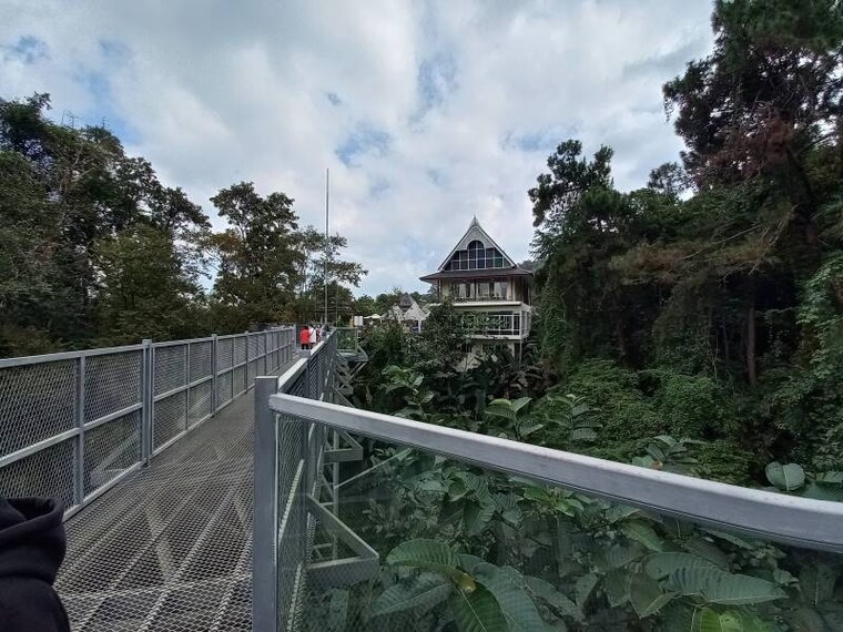 Chiang_Mai_Canopy_Walkway_7