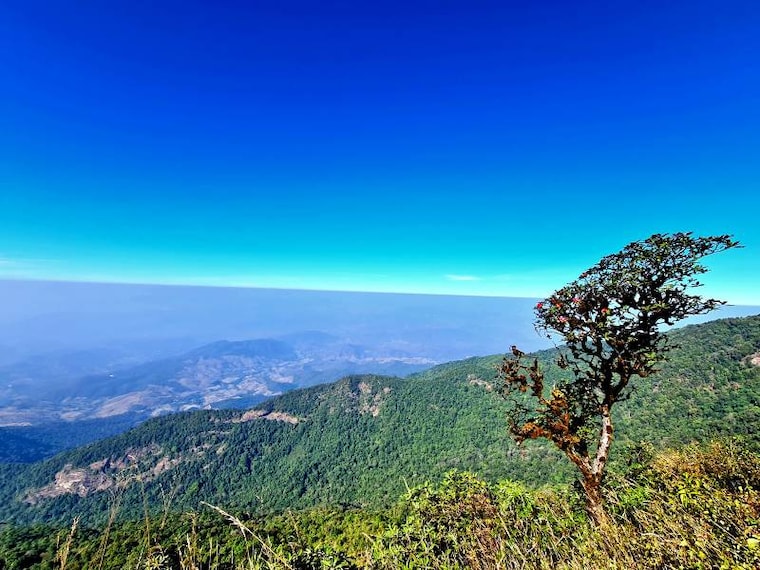 Chiang_Mai_Doi_Inthanon_National_Park_4