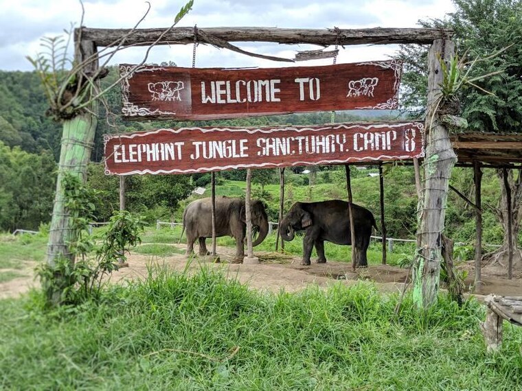 Chiang_Mai_Elephant_Jungle_Sanctuary_9