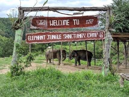 Elephant Jungle Sanctuary