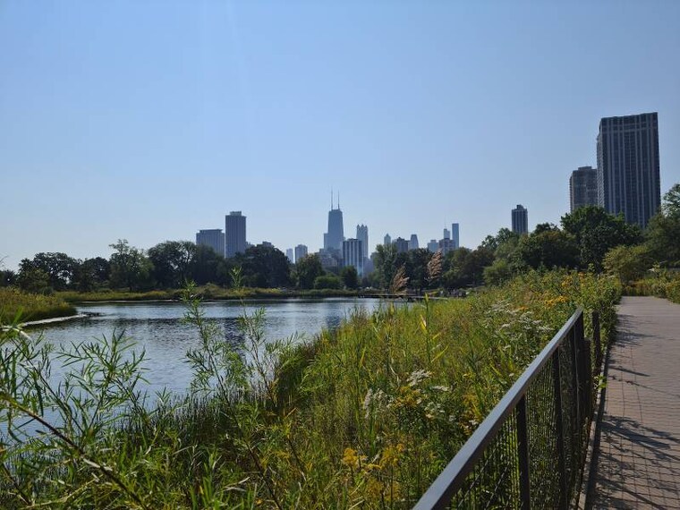Chicago_Lincoln_Park_5