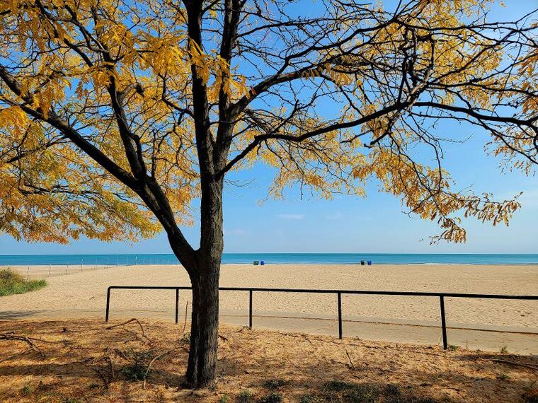 Chicago_Oak_Street_Beach_8