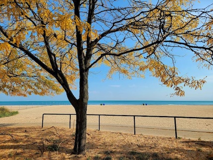 Oak Street Beach