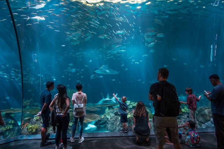 Chicago_Shedd_Aquarium_1