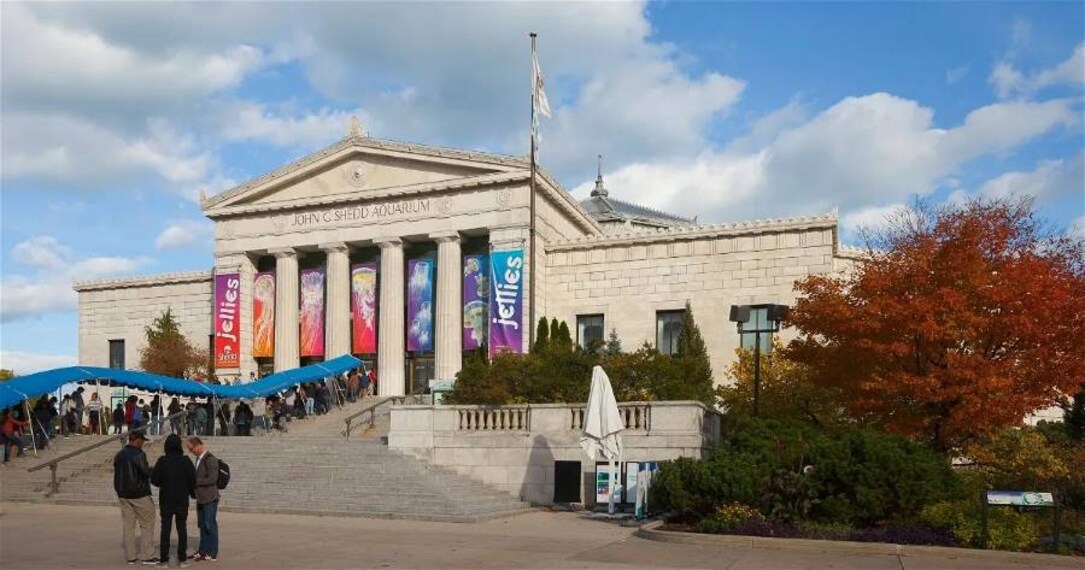 Chicago_Shedd_Aquarium_2