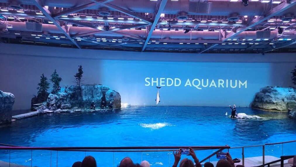 Chicago_Shedd_Aquarium_3