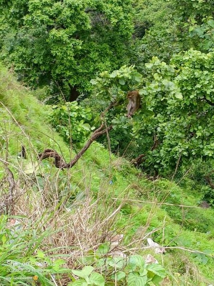 Chikhaldara_Bir_Lake_9