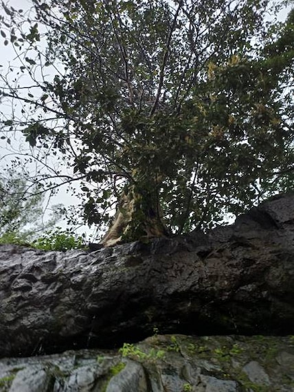 Chikhaldara_Devi_Point_Road_10