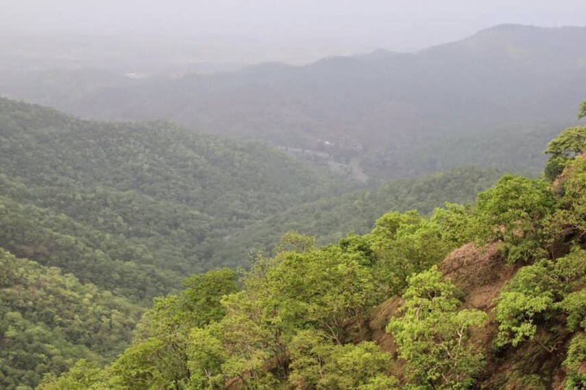 Chikhaldara_Devi_Point_Road_2