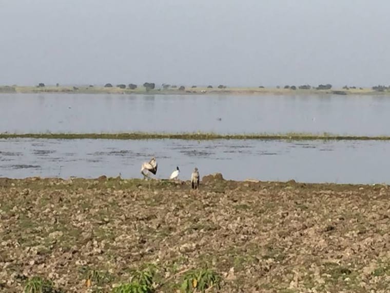 Chikhaldara_Kalapani_Lake_3