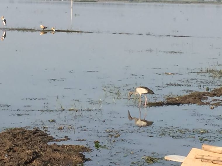Chikhaldara_Kalapani_Lake_6