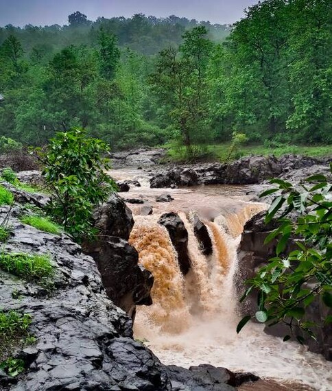 Chikhaldara_Melghat_Tiger_Reserve_10