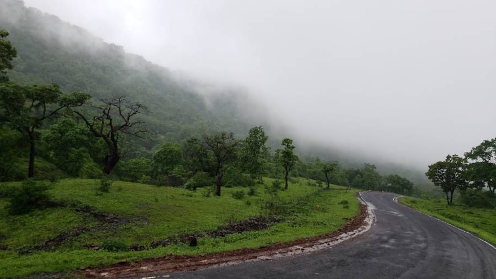 Chikhaldara_Melghat_Tiger_Reserve_3