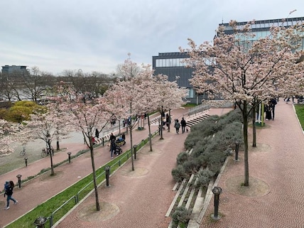 Cologne Philharmonic