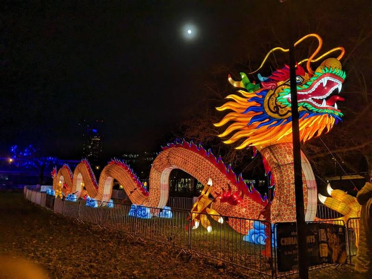 Cologne_Cologne_Zoological_Museum_8