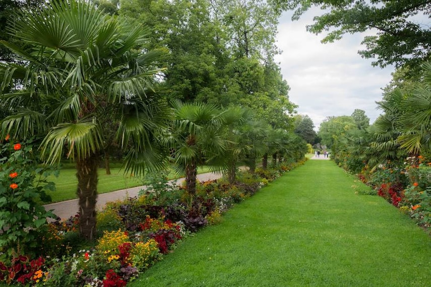 Cologne_Flora_und_Botanischer_Garten_Koln_4