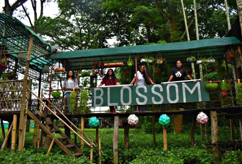 Dibrugarh_Blossom_Exotica_2