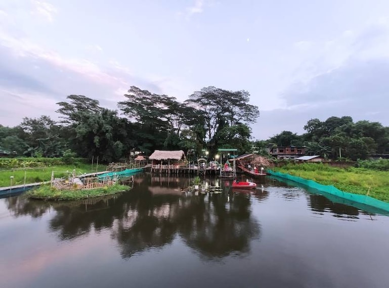 Dibrugarh_Blossom_Exotica_8