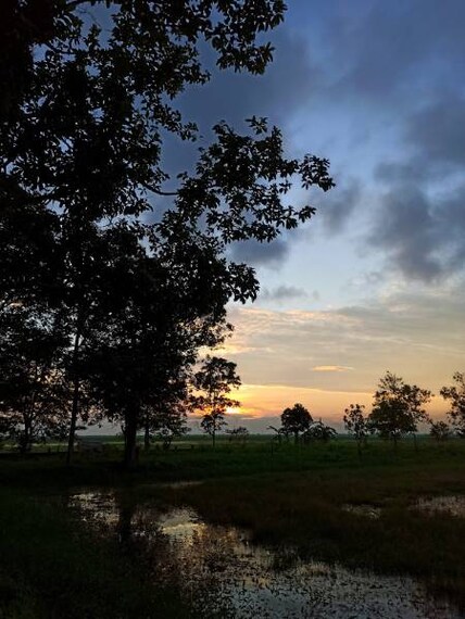 Dibrugarh_Raidongia_Dol_10