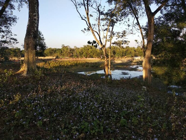 Dibrugarh_Saraumechlow_and_Bormechow_Maidam_3