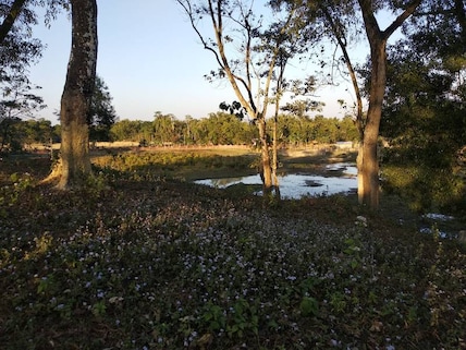 Saraumechlow and Bormechow Maidam