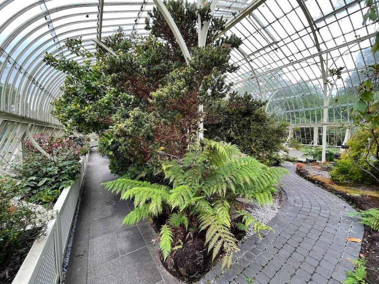 Dublin_National_Botanic_Gardens_2