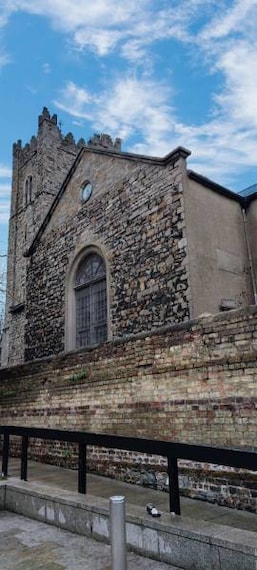 Dublin_St_Michans_Church_7