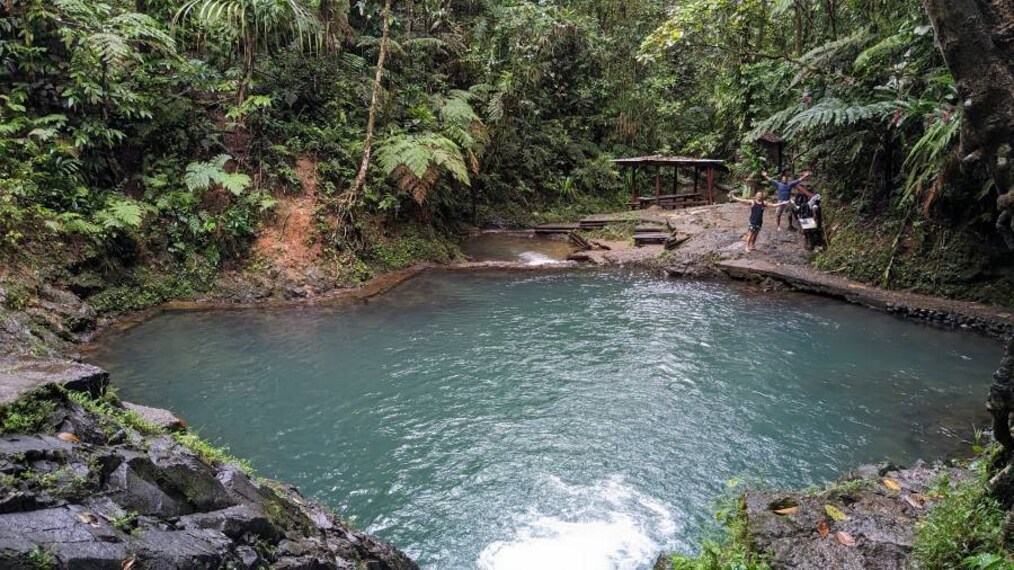 Fiji_Colo-I-Suva_Forest_Park_1