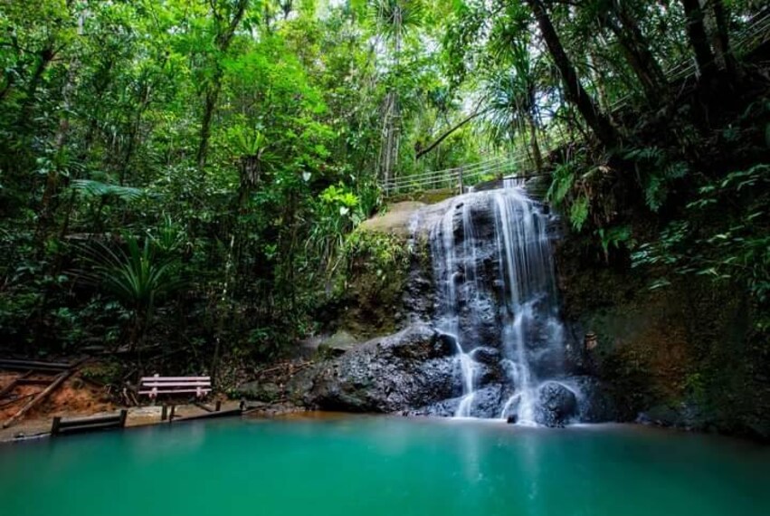 Fiji_Colo-I-Suva_Forest_Park_2