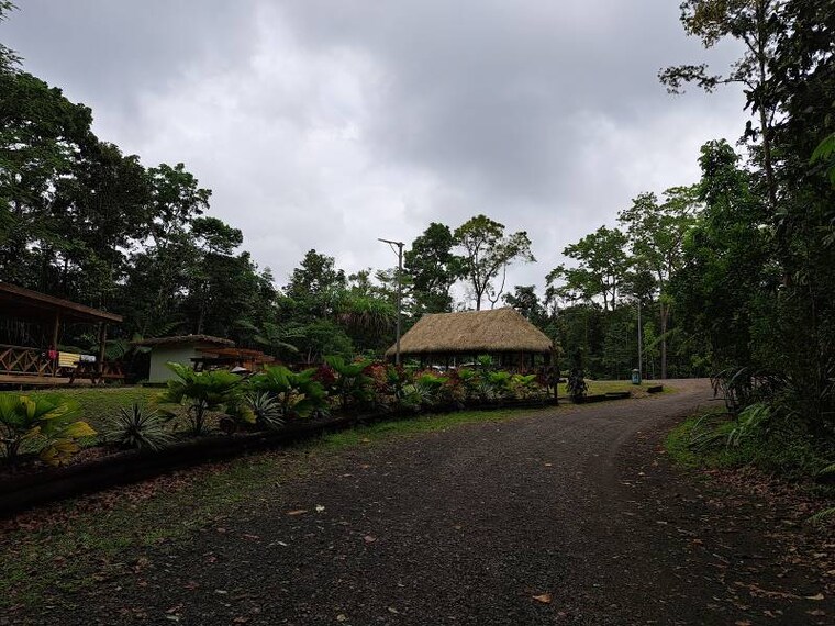 Fiji_Colo-I-Suva_Forest_Park_9