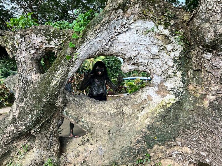 Fiji_Sabeto_Hot_Spring_Mud_Pool_10