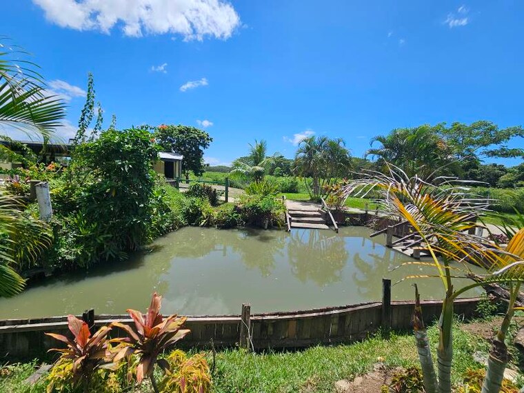 Fiji_Sabeto_Hot_Spring_Mud_Pool_5