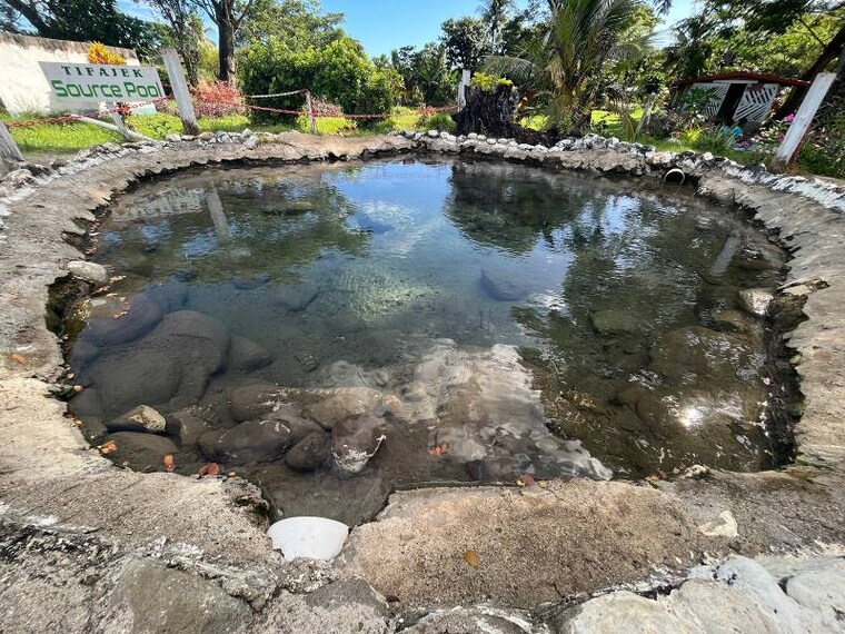 Fiji_Sabeto_Hot_Spring_Mud_Pool_9