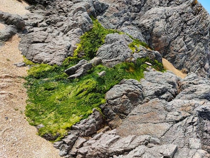 Catch Sun at Coral Strand