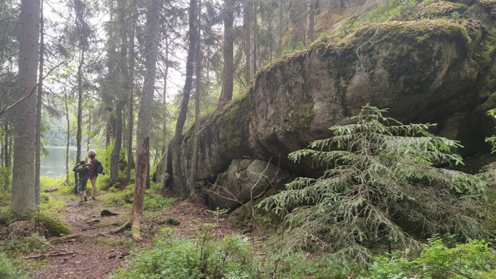 Helsinki_Nuuksio_National_Park_6